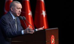 Cumhurbaşkanı Erdoğan "Sokak röportajlarını" hedef aldı!