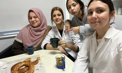 Manisalı öğrenciler, Kısa Film Yarışmasında birinci oldu