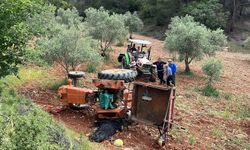 Ege'de kahreden kaza... Devrilen traktörün altında kaldı!