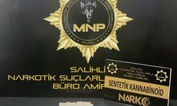 Manisa'da "bonzai" ele geçirildi