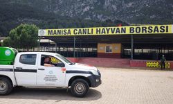 Manisa Canlı Hayvan Borsasına hayvan girişleri başlıyor