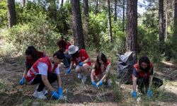 Yunusemre Belediyesi üniversitelilerle ormanda çöp topladı
